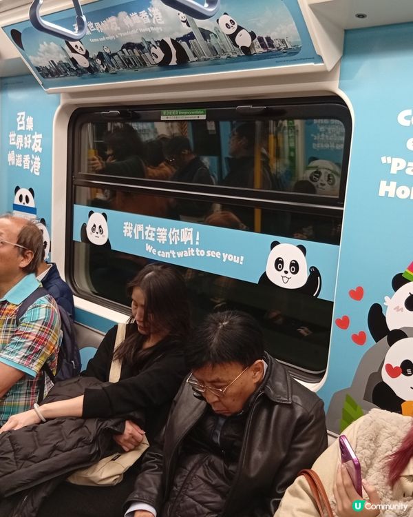 🐼 香港熊貓熱潮！搭熊貓專列去潮聖！