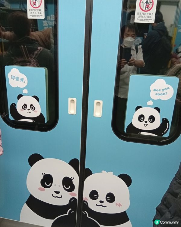 🐼 香港熊貓熱潮！搭熊貓專列去潮聖！