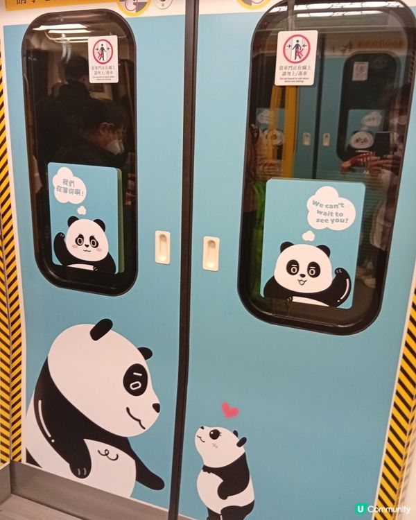 🐼 香港熊貓熱潮！搭熊貓專列去潮聖！