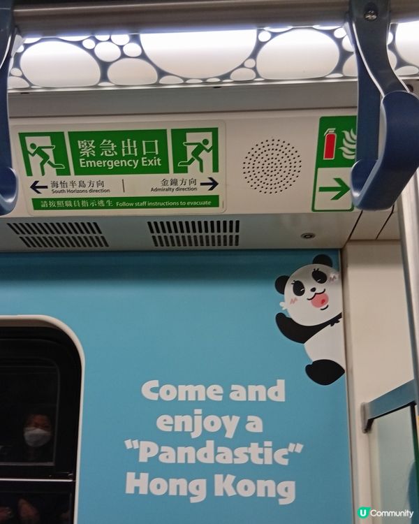 🐼 香港熊貓熱潮！搭熊貓專列去潮聖！