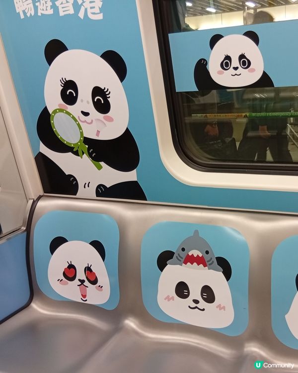 🐼 香港熊貓熱潮！搭熊貓專列去潮聖！