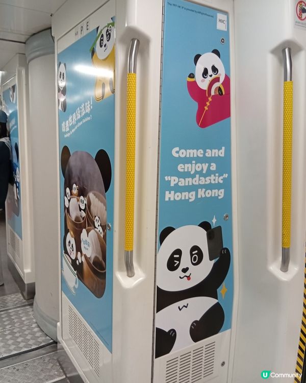 🐼 香港熊貓熱潮！搭熊貓專列去潮聖！