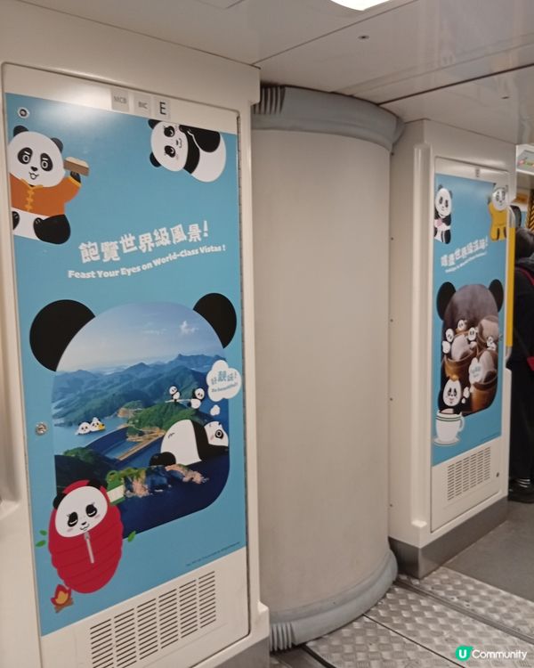 🐼 香港熊貓熱潮！搭熊貓專列去潮聖！