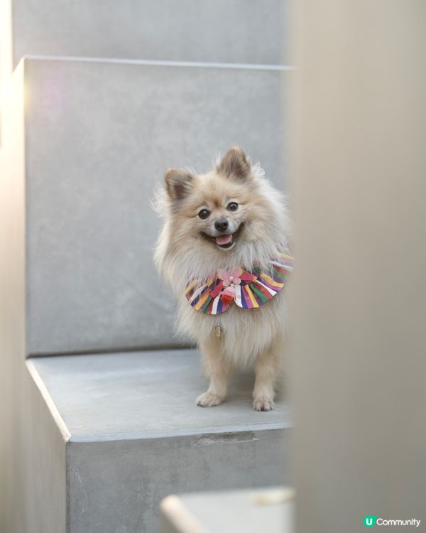 攝影練習好去處