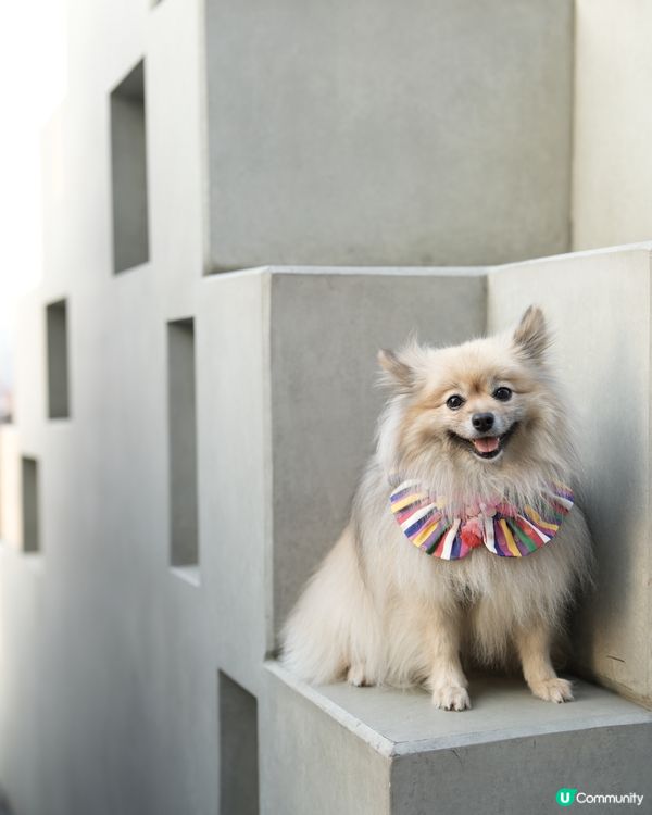 攝影練習好去處