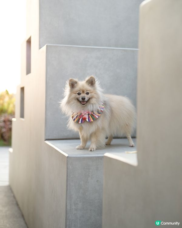 攝影練習好去處