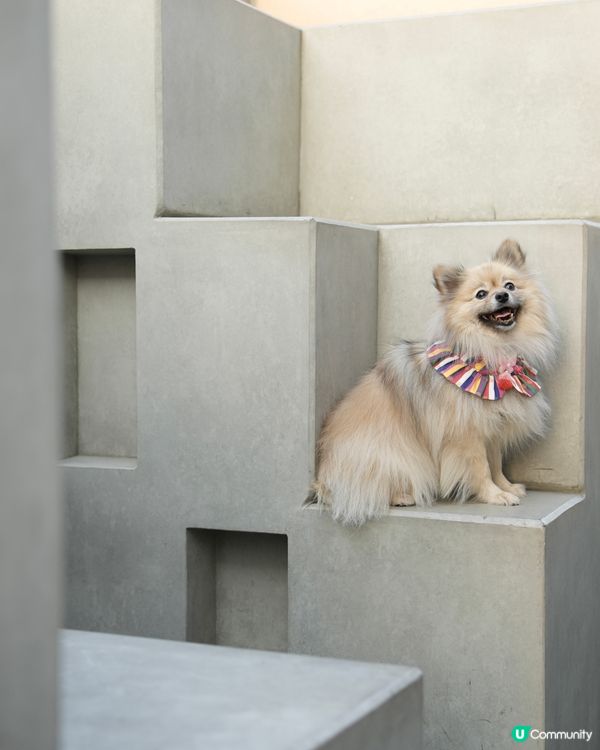 攝影練習好去處