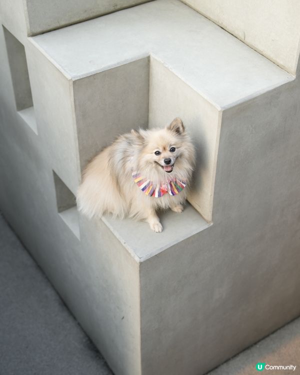 攝影練習好去處