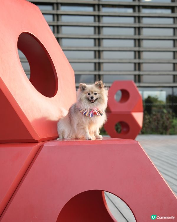 攝影練習好去處