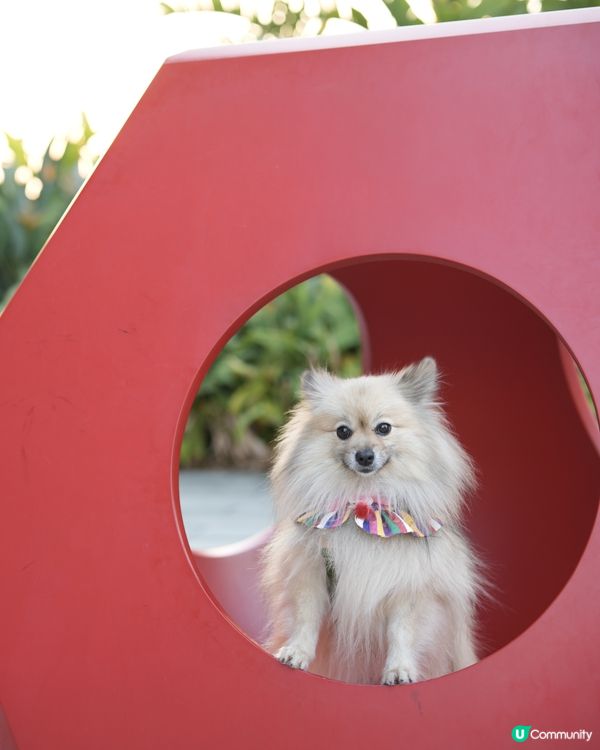 攝影練習好去處