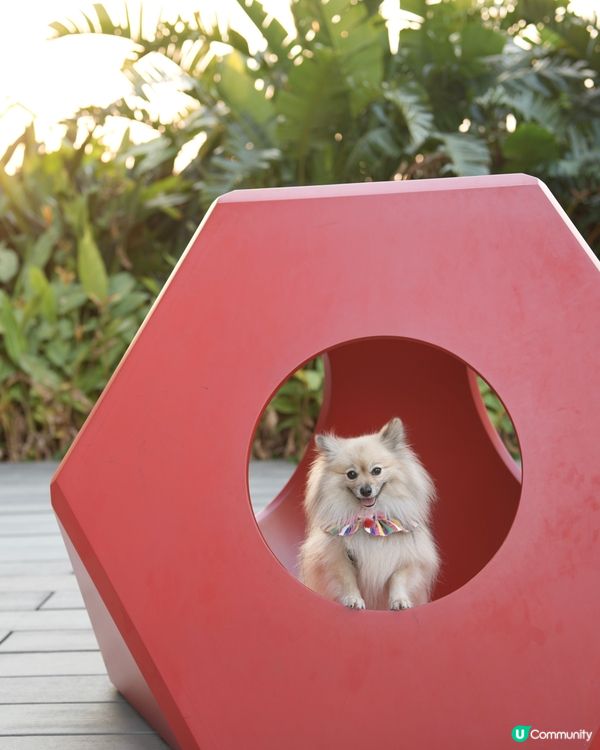 攝影練習好去處