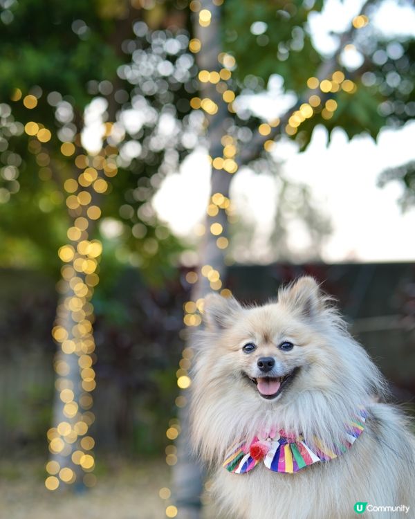 攝影練習好去處