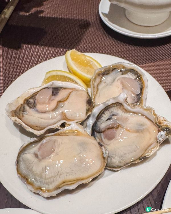 自助餐與圍爐煮茶的美味時光