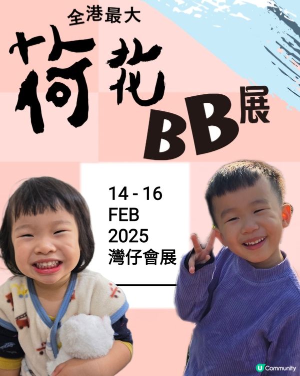 荷花BB展又黎啦‼️