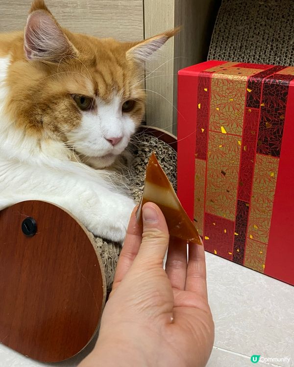 賀年糕點 利苑招牌棗皇糕❤️