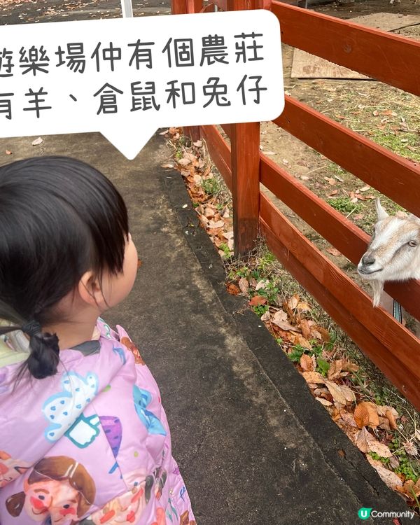 太宰府美食：一蘭合格拉麵、香菓熊本栗mont blanc