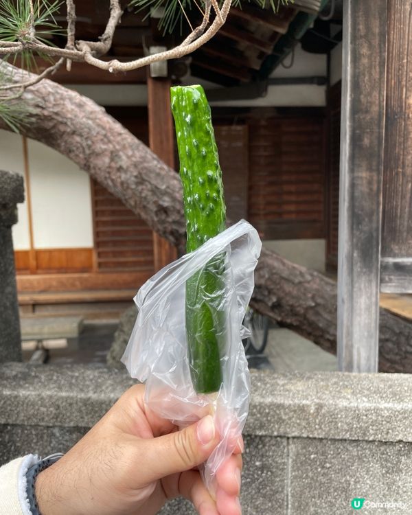 京都清水寺美食之旅😋🥢