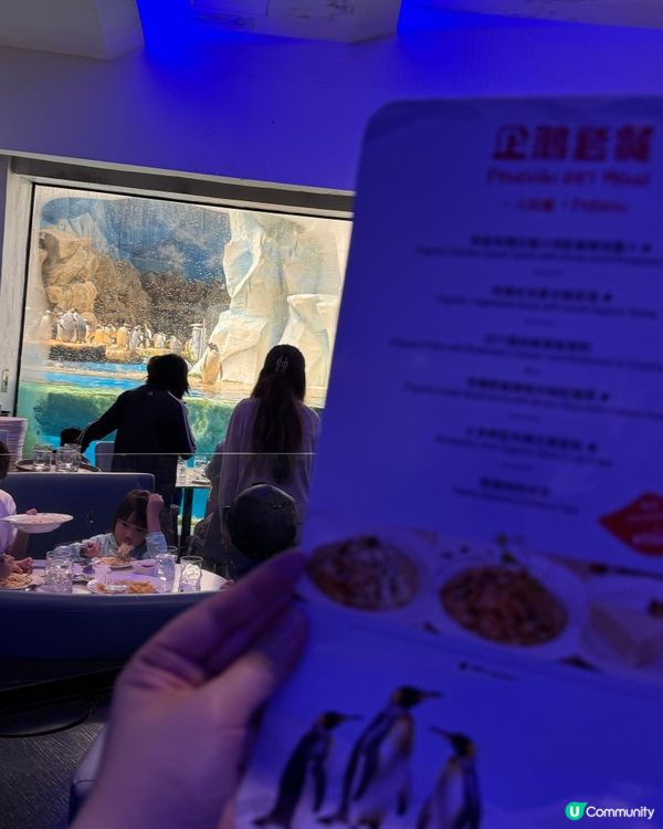 🐧 食飯睇企鵝，小朋友最愛！