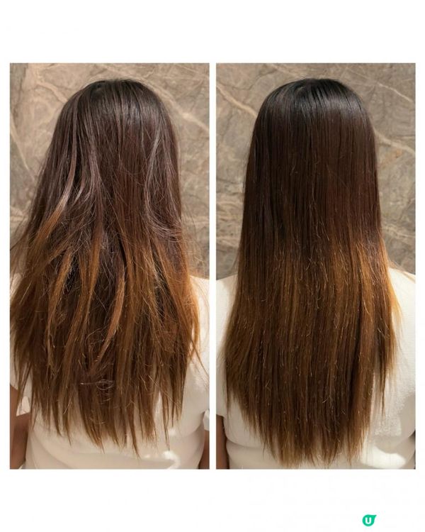 Yves Rocher No.1 皇牌防脫育髮系列 