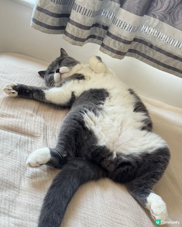 ✨懶洋洋的早上✨✨