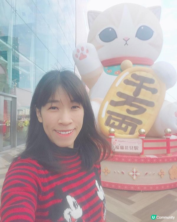 《巨型千萬両Mofusand 駕到MEGABOX 😻》