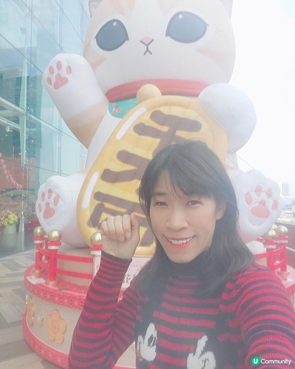 《巨型千萬両Mofusand 駕到MEGABOX 😻》