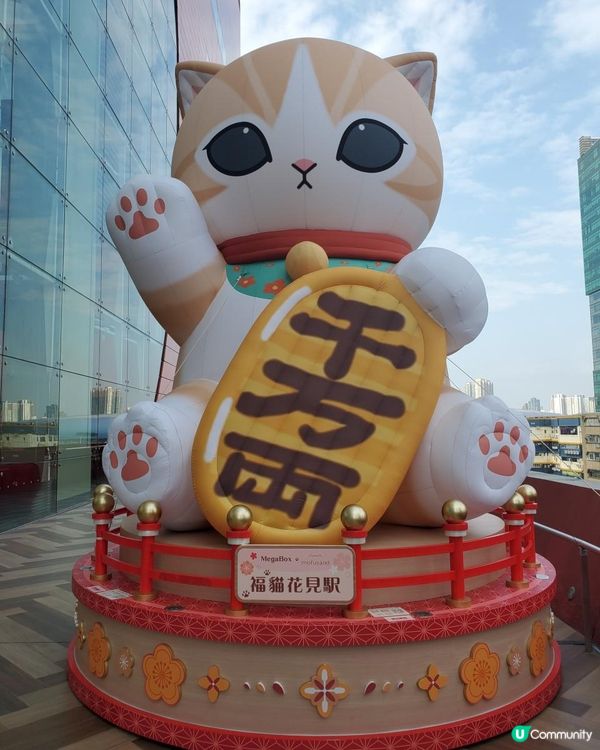 《巨型千萬両Mofusand 駕到MEGABOX 😻》