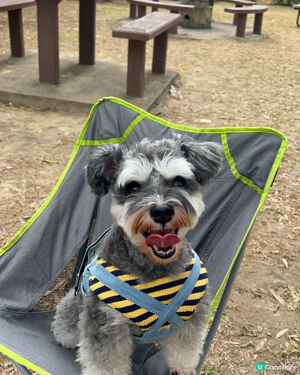 Outdoor time 🕰️ ⛺️