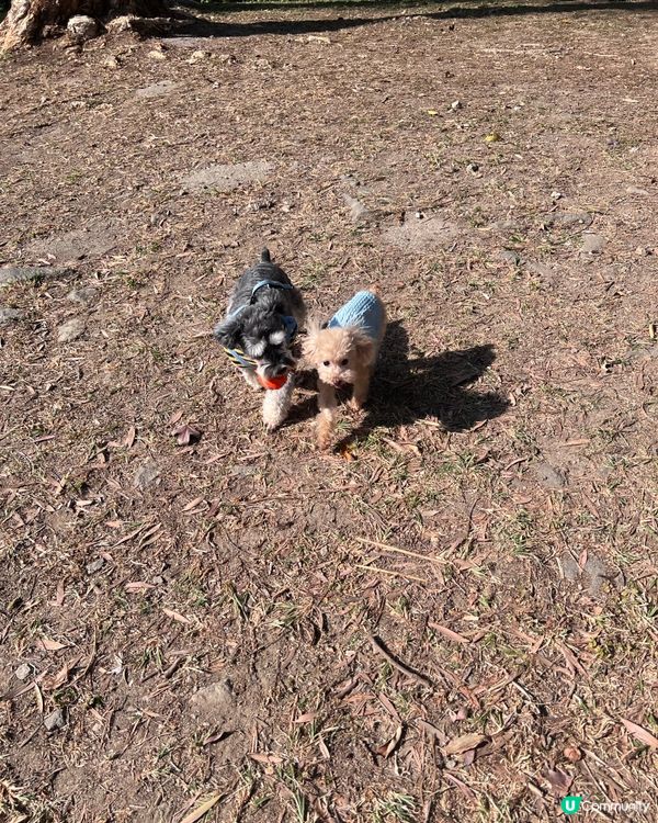 Outdoor time 🕰️ ⛺️