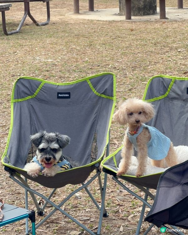 Outdoor time 🕰️ ⛺️