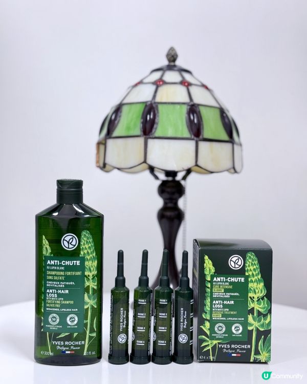 🌟✨【頭髮健康從根源開始】✨🌟