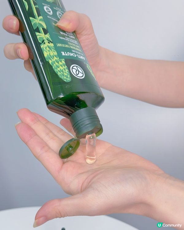 🌟✨【頭髮健康從根源開始】✨🌟