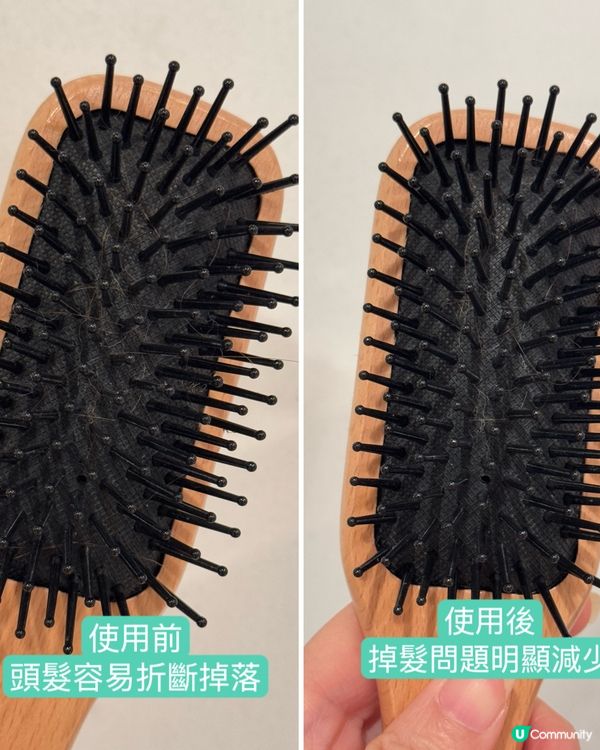 🌟✨【頭髮健康從根源開始】✨🌟