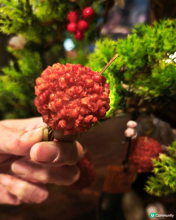 人氣地道香港小炒⭐️風雲排檔⭐️
