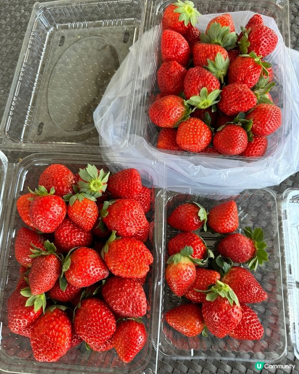 📣小編日常：親親大自然🍓摘士多啤梨😍