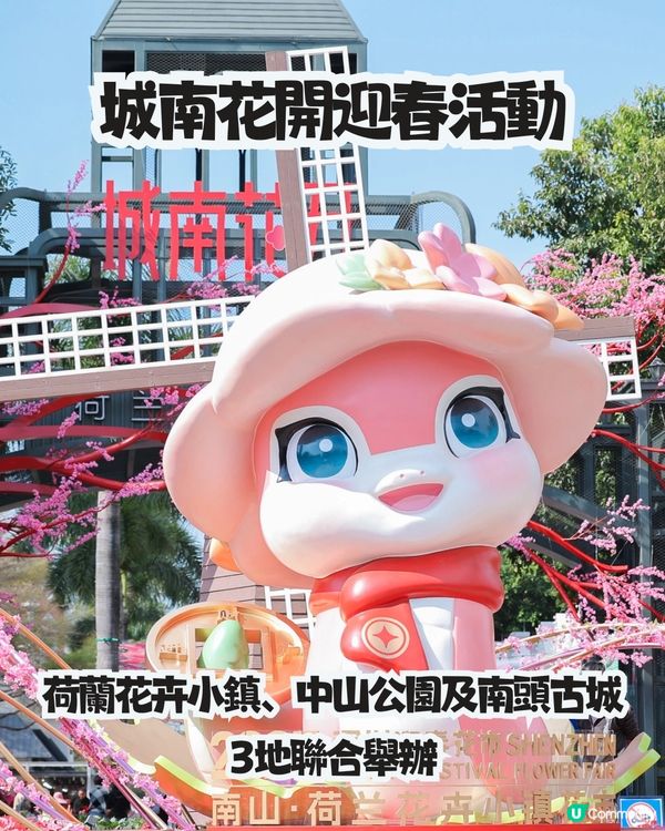 深圳南山新年活動🧨免費穿梭巴士‼️必逛花市/3D燈光騷/鬱金香花海/歐陸風車/互動裝置😍