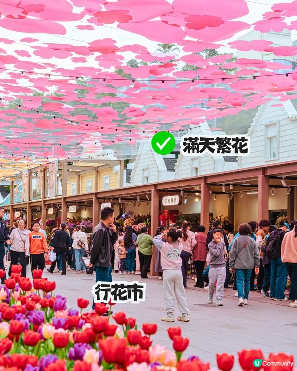 深圳南山新年活動🧨免費穿梭巴士‼️必逛花市/3D燈光騷/鬱金香花海/歐陸風車/互動裝置😍