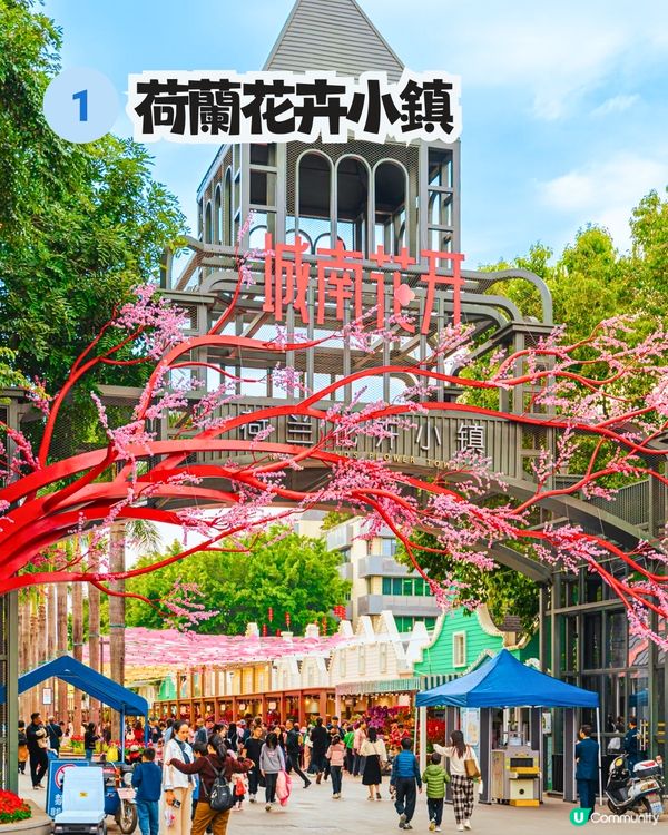 深圳南山新年活動🧨免費穿梭巴士‼️必逛花市/3D燈光騷/鬱金香花海/歐陸風車/互動裝置😍