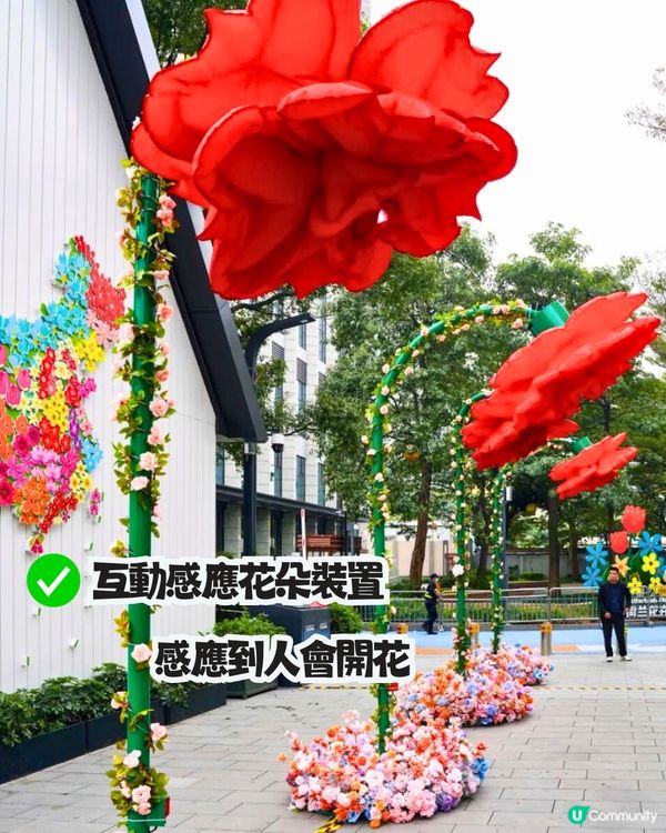 深圳南山新年活動🧨免費穿梭巴士‼️必逛花市/3D燈光騷/鬱金香花海/歐陸風車/互動裝置😍