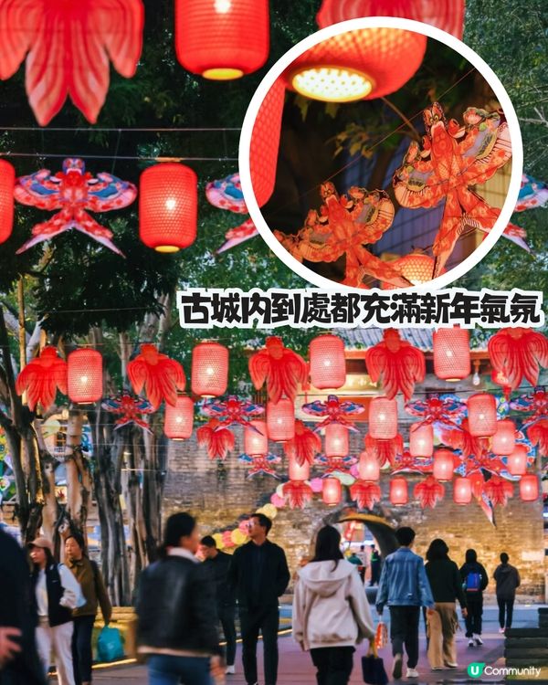 深圳南山新年活動🧨免費穿梭巴士‼️必逛花市/3D燈光騷/鬱金香花海/歐陸風車/互動裝置😍