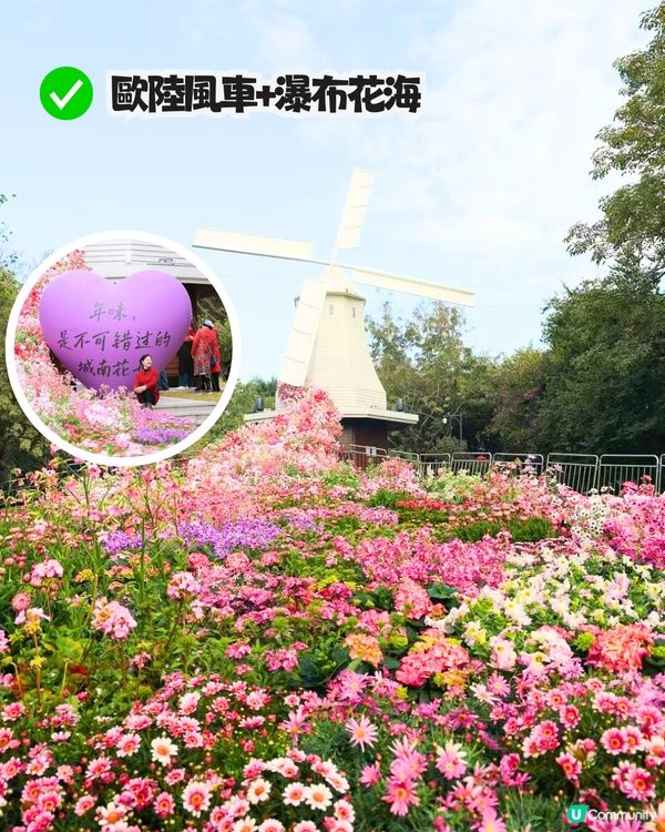 深圳南山新年活動🧨免費穿梭巴士‼️必逛花市/3D燈光騷/鬱金香花海/歐陸風車/互動裝置😍