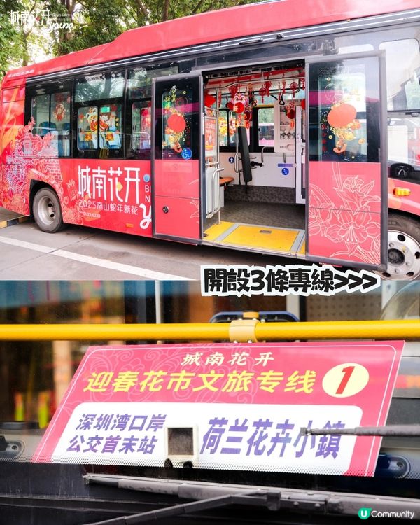 深圳南山新年活動🧨免費穿梭巴士‼️必逛花市/3D燈光騷/鬱金香花海/歐陸風車/互動裝置😍