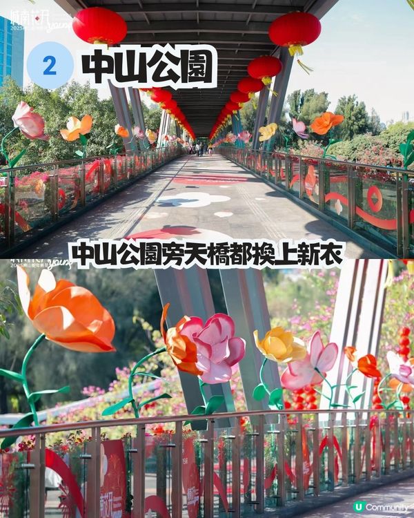 深圳南山新年活動🧨免費穿梭巴士‼️必逛花市/3D燈光騷/鬱金香花海/歐陸風車/互動裝置😍