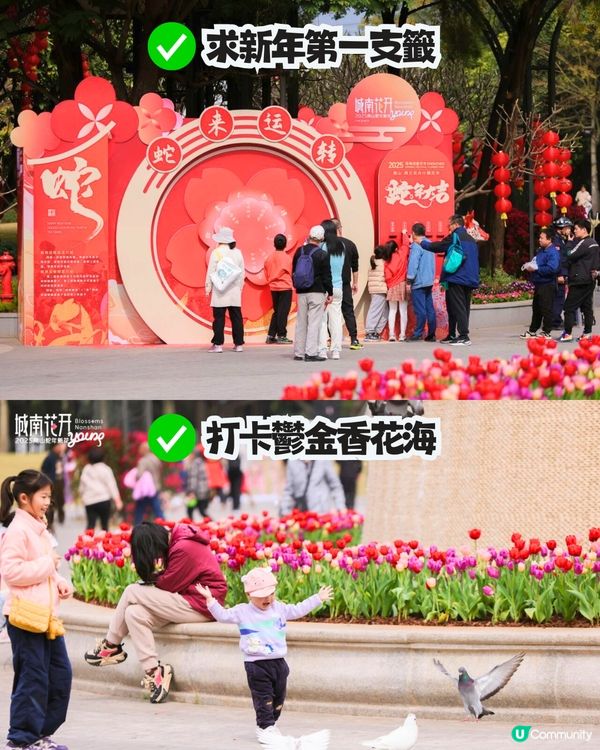 深圳南山新年活動🧨免費穿梭巴士‼️必逛花市/3D燈光騷/鬱金香花海/歐陸風車/互動裝置😍