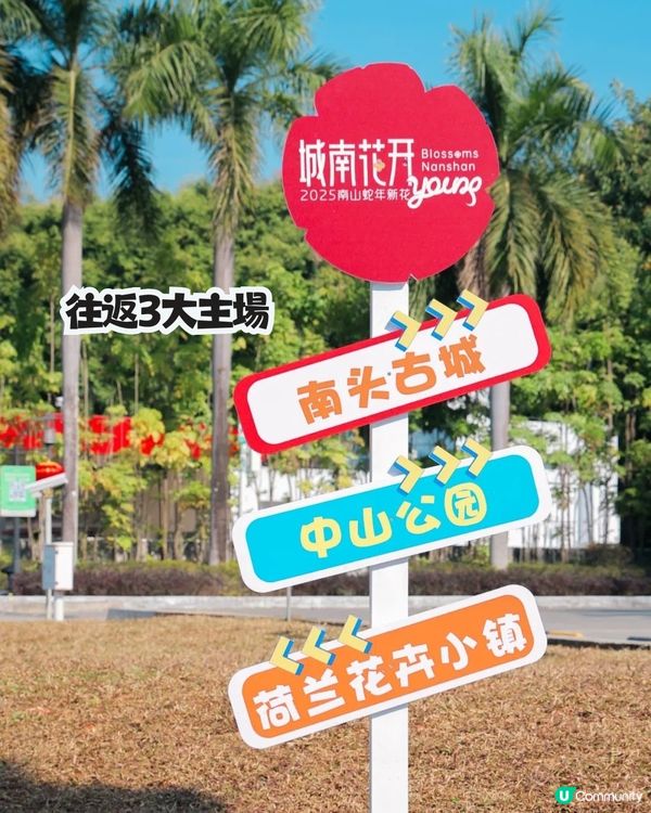 深圳南山新年活動🧨免費穿梭巴士‼️必逛花市/3D燈光騷/鬱金香花海/歐陸風車/互動裝置😍