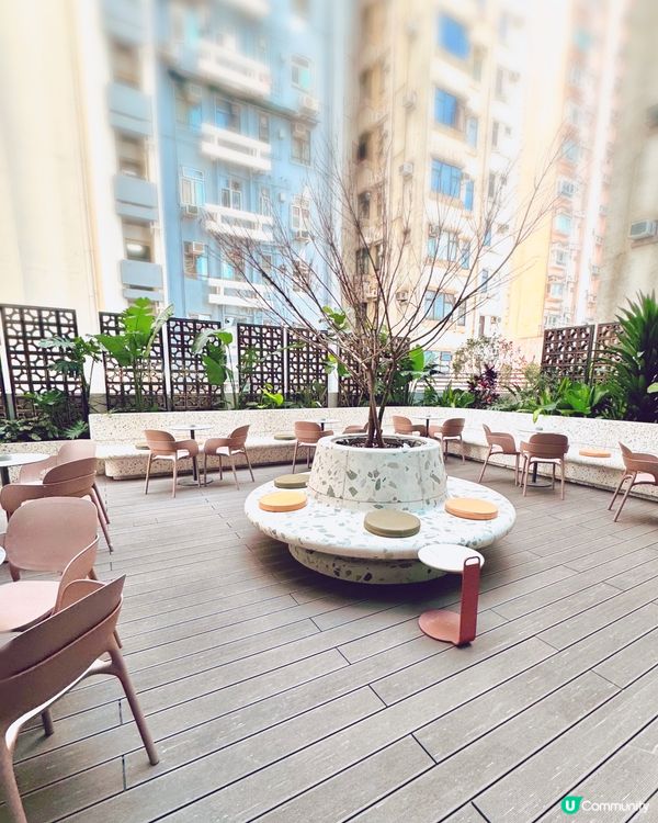 西環新派中菜😋  別緻午餐驚喜