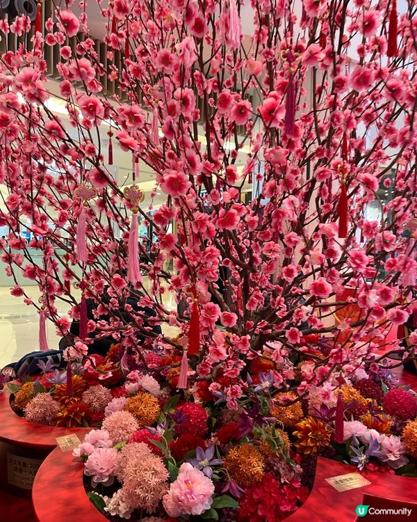 TKO popcorn商場免費打卡點