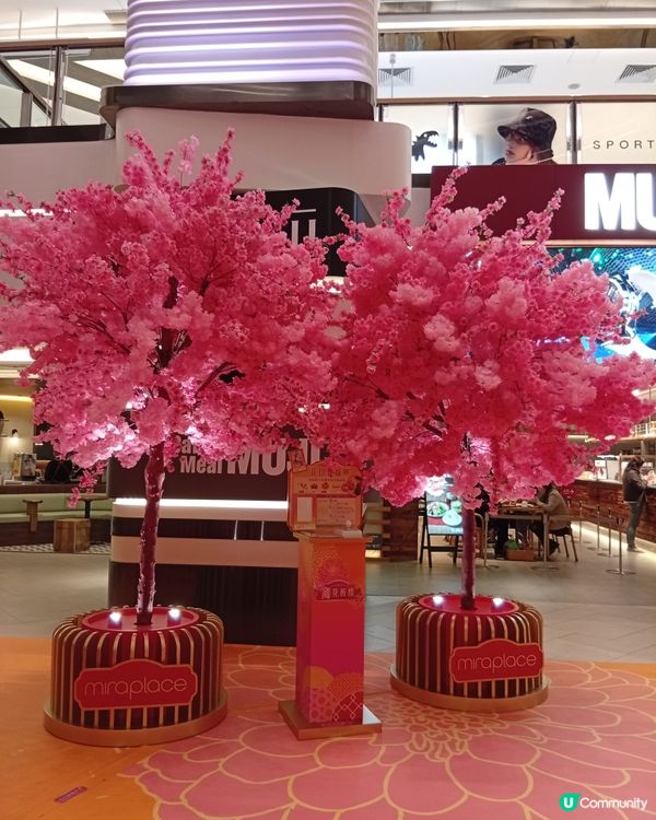 蛇年打卡熱潮🔥尖沙咀商場新年佈置大比拼！