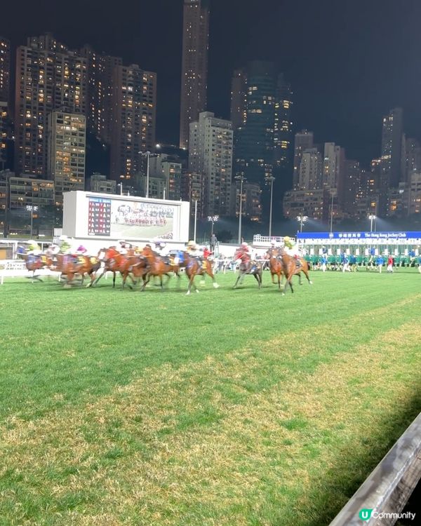 Happy Wednesday 「繁花盛會」