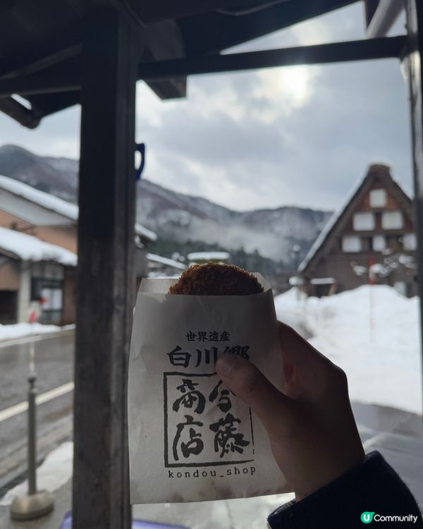 ## 名古屋近郊遊記：白川鄉合掌村❄️